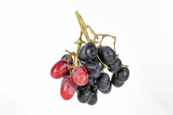 Bando de uvas pretas — Fotografia de Stock
