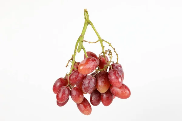 Bouquet de raisin rouge — Photo