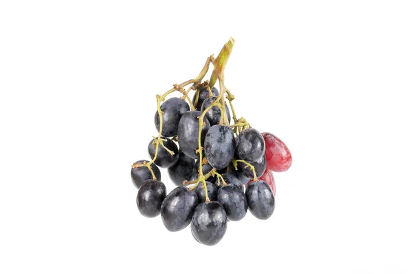 Bando de uvas pretas — Fotografia de Stock