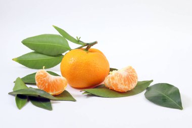 Sarı mandalina mandalina