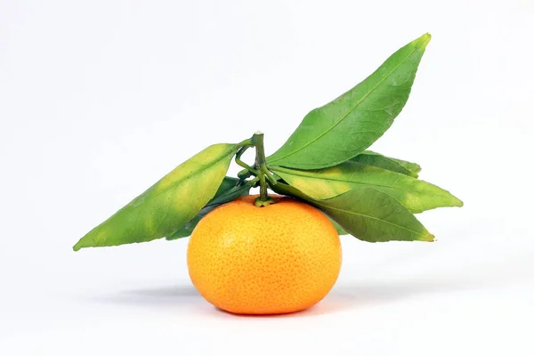 Amarelo tangerina mandarim laranja — Fotografia de Stock