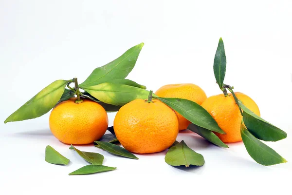 Jeruk Mandarin Tangerine Kuning — Stok Foto
