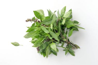 Asya Tayland fesleğen