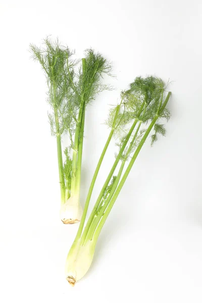 Venkel wortel met lange groene stam — Stockfoto