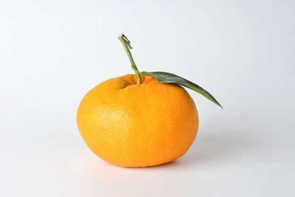 Giant Mandarin Orange — Stock Photo, Image