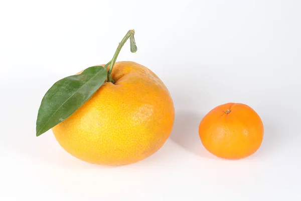 Laranja mandarim gigante — Fotografia de Stock