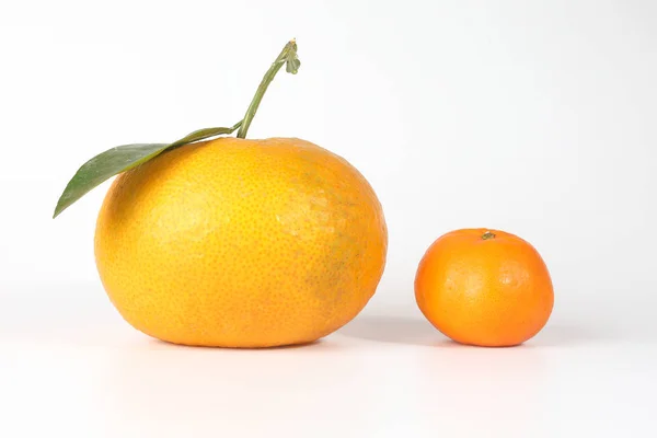 Laranja mandarim gigante — Fotografia de Stock