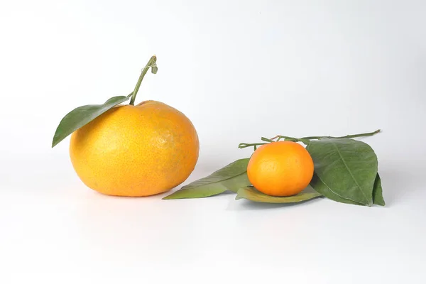 Laranja mandarim gigante — Fotografia de Stock