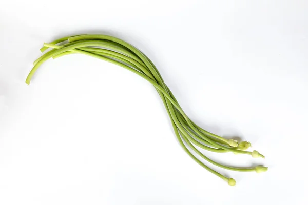 Fokhagyma Virág rügy zöld szár fehér háttér — Stock Fotó