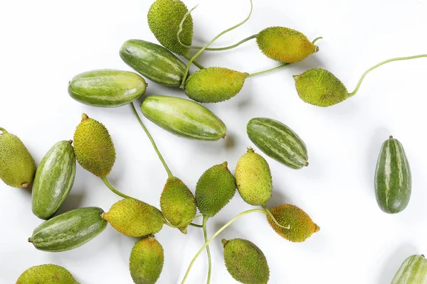 ポイントヒョウタンスパイシーなヒョウタングリーンフルーツ野菜カクロールオン — ストック写真