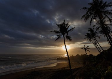 tropikal sunset Beach palm ağaçlar silueti ile