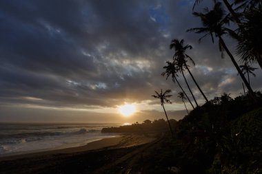 tropikal sunset Beach palm ağaçlar silueti ile