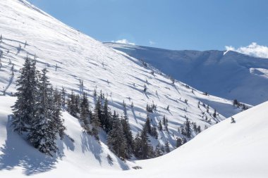Karpat dağ Vadisi taze karla kaplı. Görkemli kış manzarası. Noel zamanı. Ukrayna, Europe