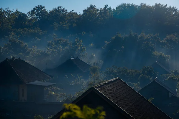 Mañana en el campo, pueblo en bruma, techo de Bali , — Foto de Stock