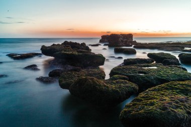 Küçük kayalar kapsadığı Bali, Endonezya Hint Okyanusu kıyısında kalın yeşil yosun.