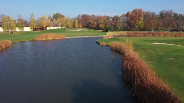 Luchtfoto van een stel mannen en vrouwen die picknicken op een groen gras in het park. Model vrijgegeven — Stockvideo