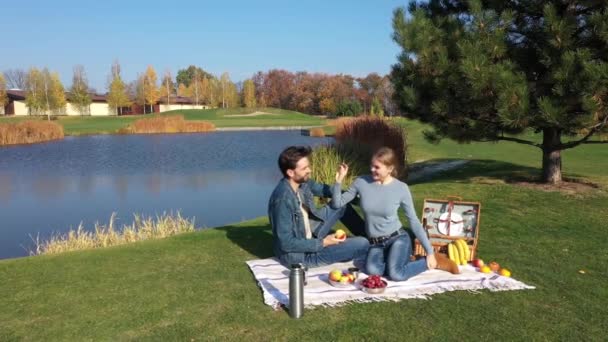 Aerial drone view of a man and woman couple having a picnic meal on a green grass in the park. Model Released — Stock Video