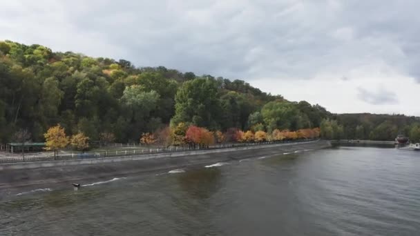 Φθινόπωρο στην Ουκρανία, γραφική θέα drone των καταπληκτικών πολύχρωμα δάση κατά μήκος του ποταμού Dnipro. — Αρχείο Βίντεο