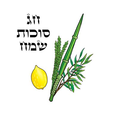 Sukkot. Mutlu Sukkot arka plan. İbranice çeviri: mutlu Sukkot tatil. Yahudi geleneksel dört türü Lulav, Etrog, palmiye ağacı için Yahudi tatil Sukkot bırakır. Vektör çizim. Sukkot tebrik kartı. Sukkot poster. Tevrat, Shofar, Sukkah, İsrail