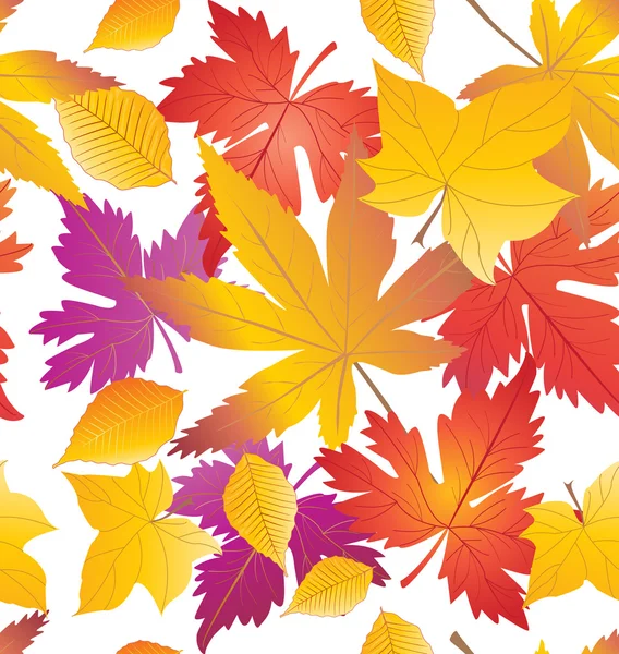 秋天 秋季销售模式 你好秋天 秋天的贺卡 秋天的标志枫叶图案 秋天的落叶 冬天 秋天 春 秋季背景 夏 秋季景观 秋天一棵树 叶 感恩节 万圣节假期矢量图