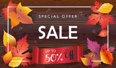 Sonbahar satış afiş, Güz satış vektör çizim. Gerçekçi çizim akçaağaç yaprakları, yaprak Güz, ahşap doku, su damlaları ile satış sezon fiş düşmek. Şükran tatil dekorasyon. Sonbaharda akçaağaç ağaç yaprak, yazı, ahşap doku. Sonbahar Satılık