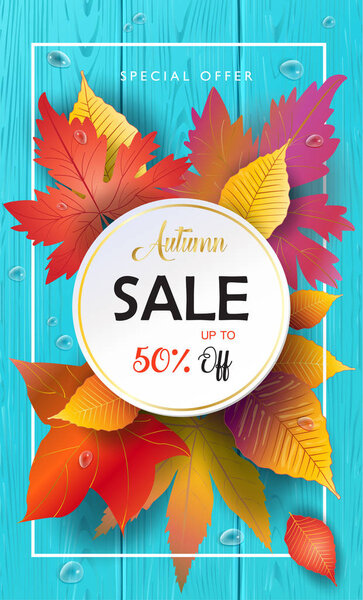 Осенний баннер продаж, иллюстрация к осеннему вектору продаж. Ваучер осеннего сезона продаж с реалистичным рисунком кленовых листьев, осенью листа, текстуры дерева, капли воды. Украшение на День Благодарения. Осенние листья кленового дерева, буквы, деревянная текстура. Осенняя распродажа
