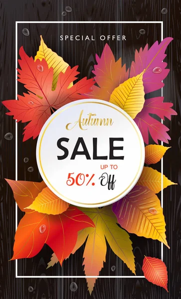 Sonbahar satış afiş, Güz satış vektör çizim. Gerçekçi çizim akçaağaç yaprakları, yaprak Güz, ahşap doku, su damlaları ile satış sezon fiş düşmek. Şükran tatil dekorasyon. Sonbaharda akçaağaç ağaç yaprak, yazı, ahşap doku. Sonbahar Satılık