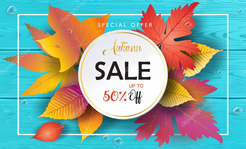 Autumn Sales banner, Fall Sale Vector illustration. Fall sales season voucher with realistic drawing maple leaves, leaf fall, wood texture, water drops. Thanksgiving Holiday decoration. Fall Maple tree leaves, lettering, wooden texture. Autumn Sale