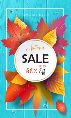 Satılık. Sonbahar vektör çizim. Sonbahar satış sezonu. Şükran tatil dekorasyon. Akçaağaç ağaç yaprakları, yazı, su damlaları ahşap doku. Sonbahar Satılık ahşap arka plan. Afiş satış indirim. Mutlu Şükran Günü tebrik sonbahar yaprakları