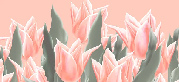 Peach tulips on coral pink background wallpaper. Happy Spring Holiday greeting card, floral decoration, Spring blossom flowers garden banner, Summer birthday party, Wedding day, women\'s day, mothers day, valentine\'s day, trendy illustration poster