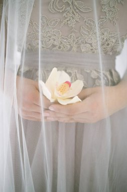 elinde bir çiçek ile güzel sanatlar kız