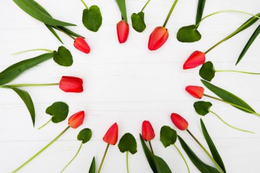 Kırmızı çiçekler. Lale ile çerçeve. Paskalya, Bahar kavramı. Düz yatıyordu, en iyi görünümü