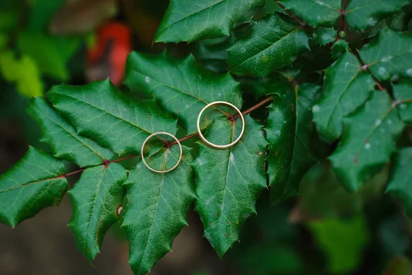 Anéis de casamento no cartão de casamento em um fundo de grama — Fotografia de Stock