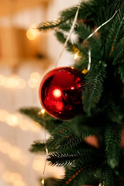 Krásné červené vánoční koule zavěšené na vánoční strom větev — Stock fotografie