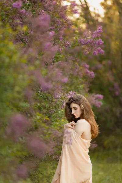 Bahar Leylak Bahçesinde Eski Moda Elbiseli Güzel Bir Kız — Stok fotoğraf