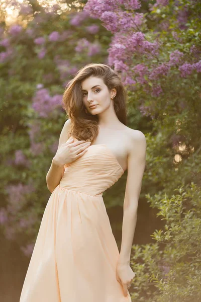 Bahar Leylak Bahçesinde Eski Moda Elbiseli Güzel Bir Kız — Stok fotoğraf