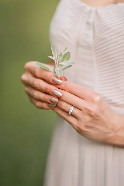 Оливковые Листья Женских Руках Руки Невесты Свадьба Монтенегро — стоковое фото
