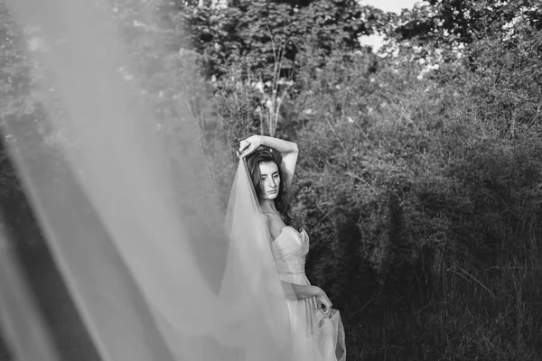 Výtvarné Umění Portrét Krásné Nevěsty Závojem Letní Zahradě — Stock fotografie