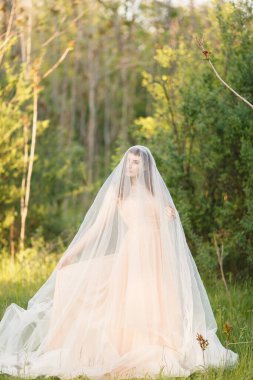 Gelinlik giymiş güzel bir esmer kadın portresi ve uzun peçeli yazın doğa bahçesinde rüzgarda kıvrılan bir kadın. Güzel sanatlar, düğün..
