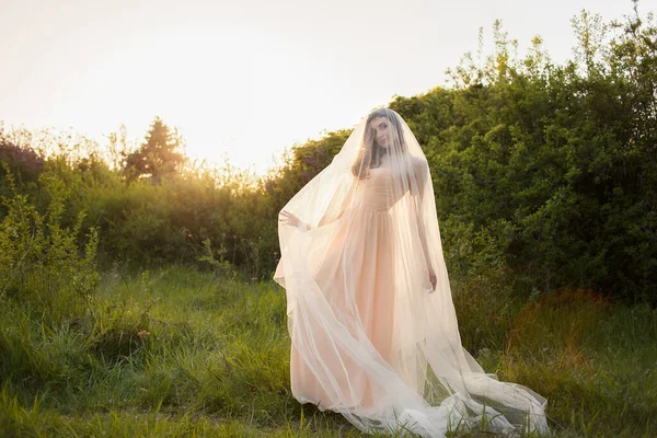 Портрет Красивой Невесты Вуалью Летнем Саду — стоковое фото