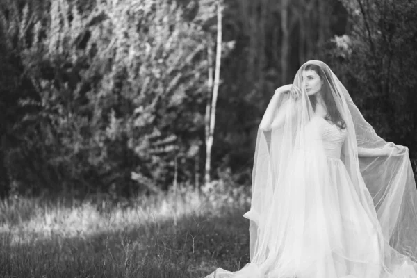 Gelinlik Giymiş Güzel Bir Esmer Kadın Portresi Uzun Peçeli Yazın — Stok fotoğraf