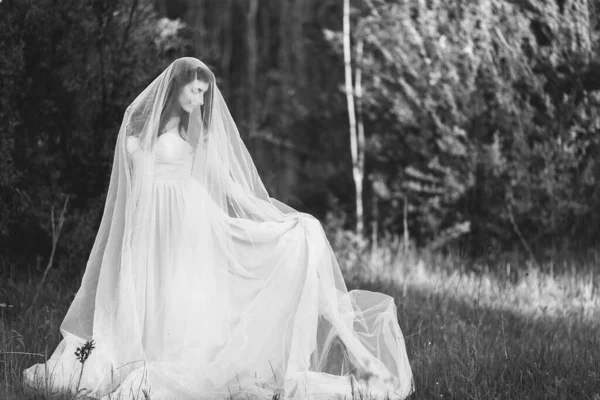 Portrait Une Belle Jeune Mariée Brune Robe Avec Long Voile — Photo