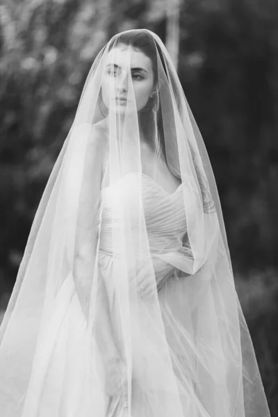 Portrait Une Belle Jeune Mariée Brune Robe Avec Long Voile — Photo