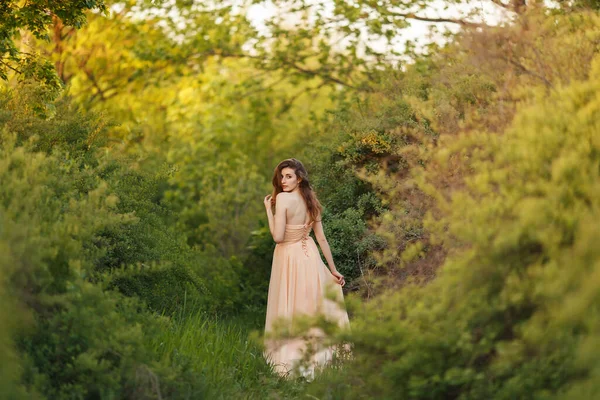 Bildende Kunst Porträt einer romantischen Frau im Kleid — Stockfoto