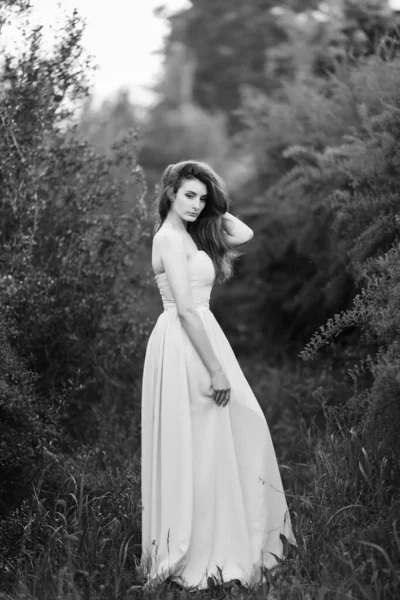 Fine Art Portrait of romantic female in dress — Stock Photo, Image