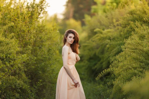 Beaux-arts Portrait de femme romantique en robe — Photo