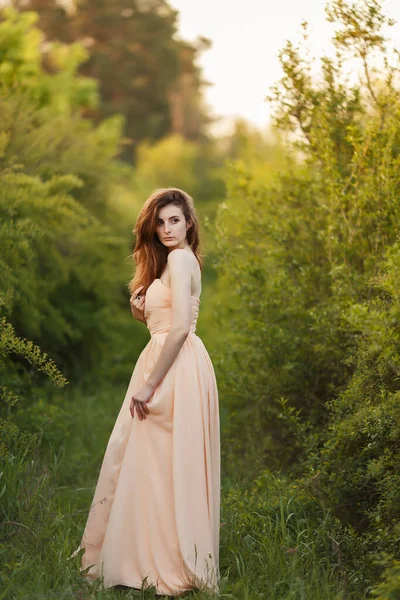 Bildende Kunst Porträt einer romantischen Frau im Kleid lizenzfreie Stockfotos
