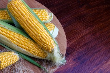 Koçanlarda taze mısır.