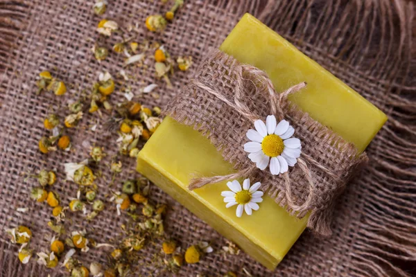 Handmade soap with chamomile — Stock Photo, Image