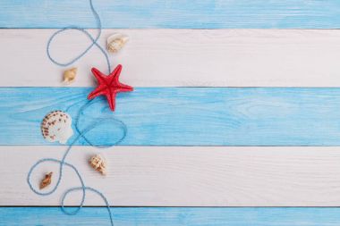 Yaz arka plan. Sheashell